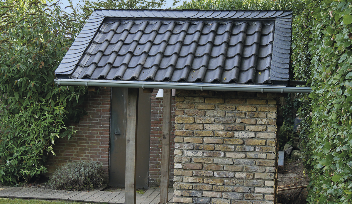 Backhaus